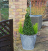 Round 41cm Covent Garden Mulberry Tree Galvanised Zinc Metal Plant Planter Pot
