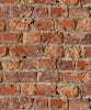 Arthouse Urban Brick Wallpaper Stone Realistic Wall 3D Effect 696600 Red (Wallpaper Roll 10M)