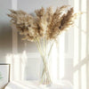 10x Natural Dried Pampas Grass Reed Flower Bunch Wedding Bouquet Home Decor