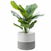 Cotton Rope Storage Basket Indoor Planter Basket Woven Cover Pot Plant Holder