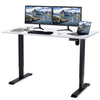 160 x 80 cm Electric Standing Desk Height Adjustable 4-speed Memory Function