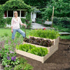 Heavy Duty Wooden Elevated Garden Bed Raised Planter Divided Boxes Kit Trapezoid