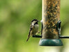 Outdoor Wild Bird Hanging Seed Feeder Peanut Feed Fat Ball Feeders Garden Birds