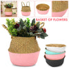 Seagrass Belly Basket Woven Plant Pot Holder Home Living Decor Folwer Storage