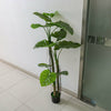 Artificial Alocasia Tree Plant Pot Home Office Exotic Tropical Decor Realistic