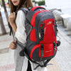 60L Waterproof Hiking Camping Bag Travel Backpack Outdoor Luggage Rucksack UK