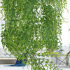 Artificial Hanging Plants Flowers Basket Fake Vine Trailing Indoor House Plants
