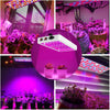 LED Grow Light Full Spectrum 80W Hydroponic Indoor Veg Flower Plant Lamp Panel
