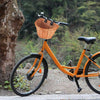 Vintage Lady Kids Rattan Wicker Basket Bike Bicycle Handlebar Leather Straps S/M