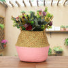 Seagrass Belly Basket Woven Plant Pot Holder Home Living Decor Folwer Storage