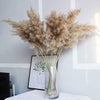 10x Natural Dried Pampas Grass Reed Flower Bunch Wedding Bouquet Home Decor