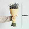 180Pcs Natural Lavender Dried Flowers Gifts Flower Bouquet Home Wedding Decor