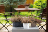 Plant Pots With Saucers Sahara Flowerpot Garden Flower Planters Indoor Stand