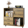 Mobile File Cabinet Lateral Filing Cabinet with 2 Drawers and Open Compartments
