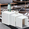 Modern Matte Nest of 3 Coffee Tables Modern Living Room Decor Sofa Side End Kits
