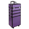 Extra Large Makeup Case Hairdressing Vanity Beauty Trolley Cosmetic Box Storage