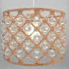 Modern Chandelier Acrylic Crystal Light Shades Droplet Ceiling Pendant Lampshade