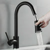 Kitchen Sink Mixer Taps Pull out Spray Swivel Spout Single Lever Tap Mono Faucet