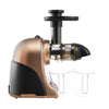 Slow Masticating Juicer Extractor Cold Press Juicer Machines Quiet Motor 2 Speed