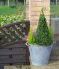 Round 41cm Covent Garden Mulberry Tree Galvanised Zinc Metal Plant Planter Pot