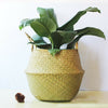 Flower Plants Seagrass Woven Storage Pots Bag Wicker Basket Straw Home Decor -C