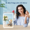 LED Mirror Mini Fridge Portable Beauty Ice Box Table Top Small Cooler&Warmer 8L