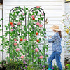 2X Universal Garden Climbing Trellis Vegetable Flower Patio Rose Support Holder
