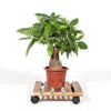 2PCS 11.8" Wood Slatted Plant Caddy Cart Wheeled Pot Stand Flower Rollers Risers