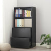 Filing Cabinet Freestanding Display Cabinet Filing Cabinet with 2 Drawer 1 Shelf