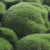 Artificial Plant Wall Fence Panel Foliage Hedge Reindeer Moss Mat Greene