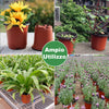 Garfans 130PCS Plant Pots Plastic Terracotta Bucket Herb Flower Pot Planter Tray