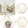 2x Hexagon Metal Wire Wall Shelf Home Decor Magazine Storage Floating Shelf Gold