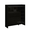 High Gloss 2 Doors Front Shoe Cabinet Storage Footwear Organizer Stand Rack Unit