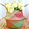 Wovens Seagrass Belly Basket Plant Flower Storage Straw Pot Home Garden Decors