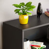 3 Tier Bookcase Low Shelving Display Storage Stand Furniture Black