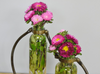 Vintage Flower Pot Industrial Style Metal Plant Vase 2 Test Tube Glass Holder