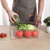 5PCS/PACK Fridge Storage Box with Lid Handle Clear Food Container Plastic Boxes