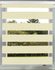 Day & Night Roller Blinds Zebra Black White Cream Grey Brown 5 Sizes 160cm Drop