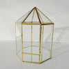 Tabletop Geometric Terrarium Glass Box Pot Plant Planter Succulent Moss Holder