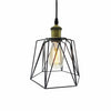 Vintage Metal Cage Industrial Wire Frame Pendant Light Loft Ceiling Lamp Shade