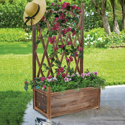 Indoor Outdoor Wooden Raised Bed Tall Planter Box with Generous Hanging Trellis