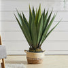 Artificial Tequila Succulent Plant 85cm Height in Pot Home Office NEW Decorative