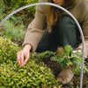 Galvanized Steel Greenhouse Plant Hoop Garden Tunnel Hoop with Netting Clips