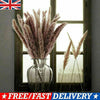 15/50PCS Natural Dried Pampas Grass Reed Rabbit Tail Grass Flower Bunch Decor UK