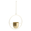 Wall Hanging Planter Flower Pot Metal Basket Bowl Decor Garden Indoor Black/Gold