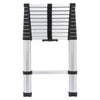 3.2m Aluminum Alloy Ladder Multi-Purpose Climb Telescopic Extendable Step
