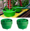 Tomato plant halos pot grow bag watering plastic round halos grow Tomatos seed