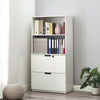 Filing Cabinet Freestanding Display Cabinet Filing Cabinet with 2 Drawer 1 Shelf