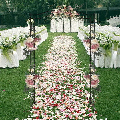 Metal Outdoor Garden Arch Heavy Duty Rose Climbing Plants Archway Party Wedding