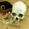 Halloween Skull Head Prop Resin Head Replica Creepy Party Haunted House Ornament